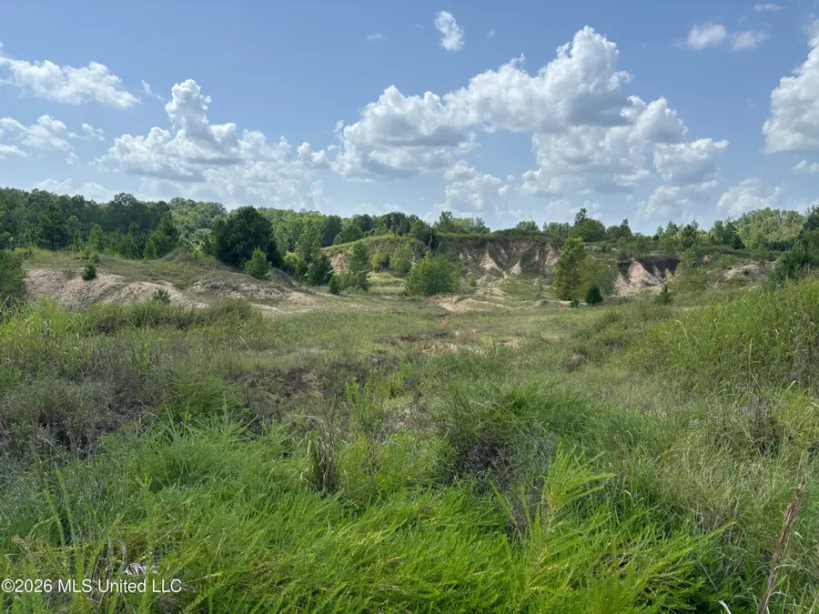 C J Fisher Drive, Vicksburg, MS 39180 - #2