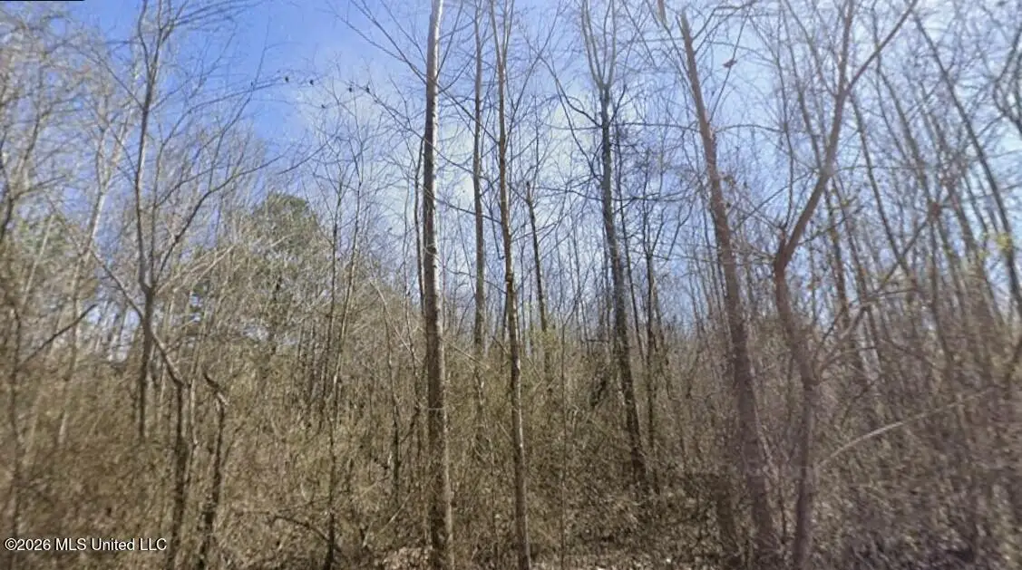 Co Rd 636, Corinth, MS 38834 - #1