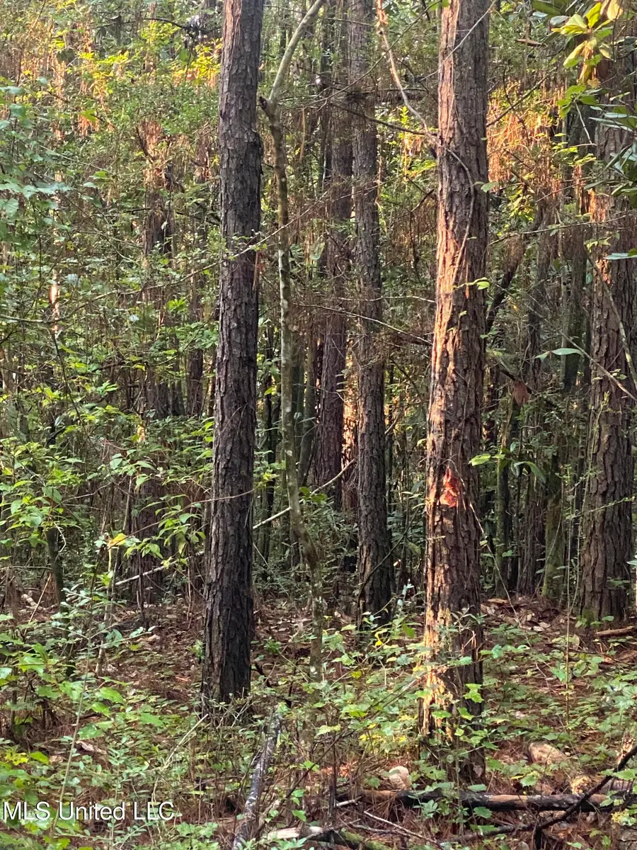 ### Kirby Creek Road, Wiggins, MS 39577 - #2