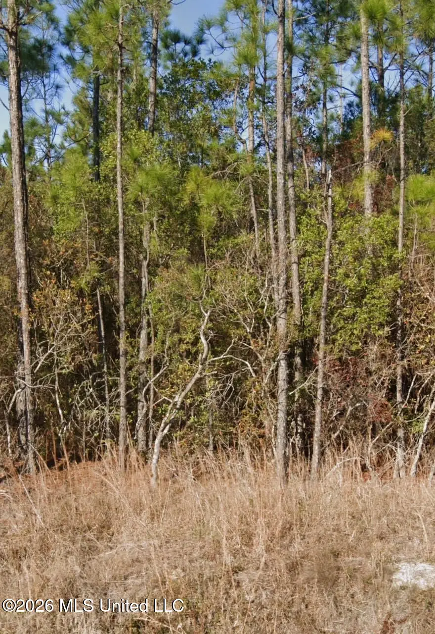 0001 Mason Road, Biloxi, MS 39532 - #3