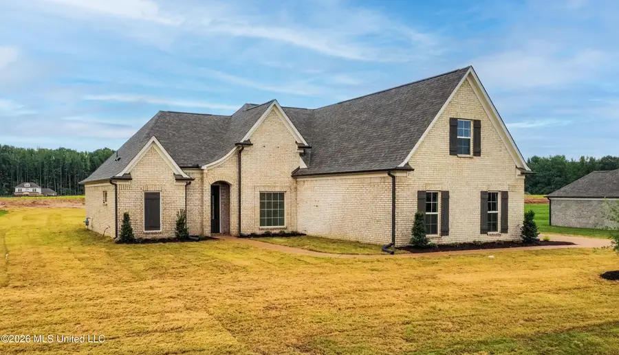 7582 John Elliott Lane, Hernando, MS 38632 - #3