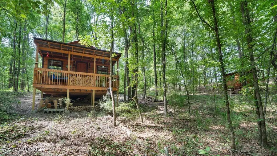 664 Mt Zion Road, Camden, MS 39045 - #2