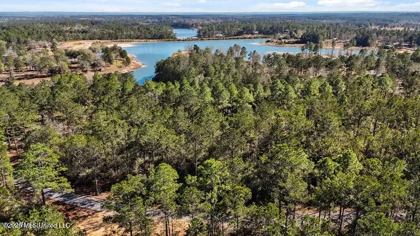 Lot 17&18 Mitchell Road, Leakesville, MS 39451 - #2
