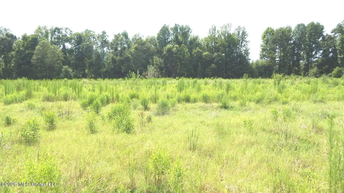 590 County Road 247, Bruce, MS 38915 - #1
