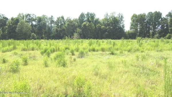 590 County Road 247, Bruce, MS 38915