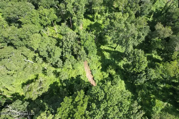 2530 Cat Island Road, St Francisville, LA 70775