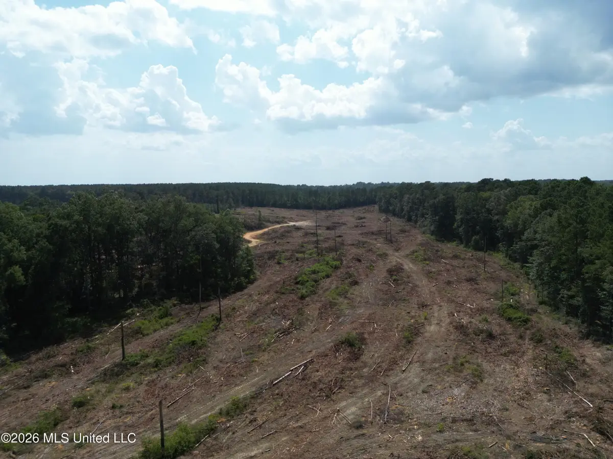SE Cole Drive, Ruth, MS 39662 - #1