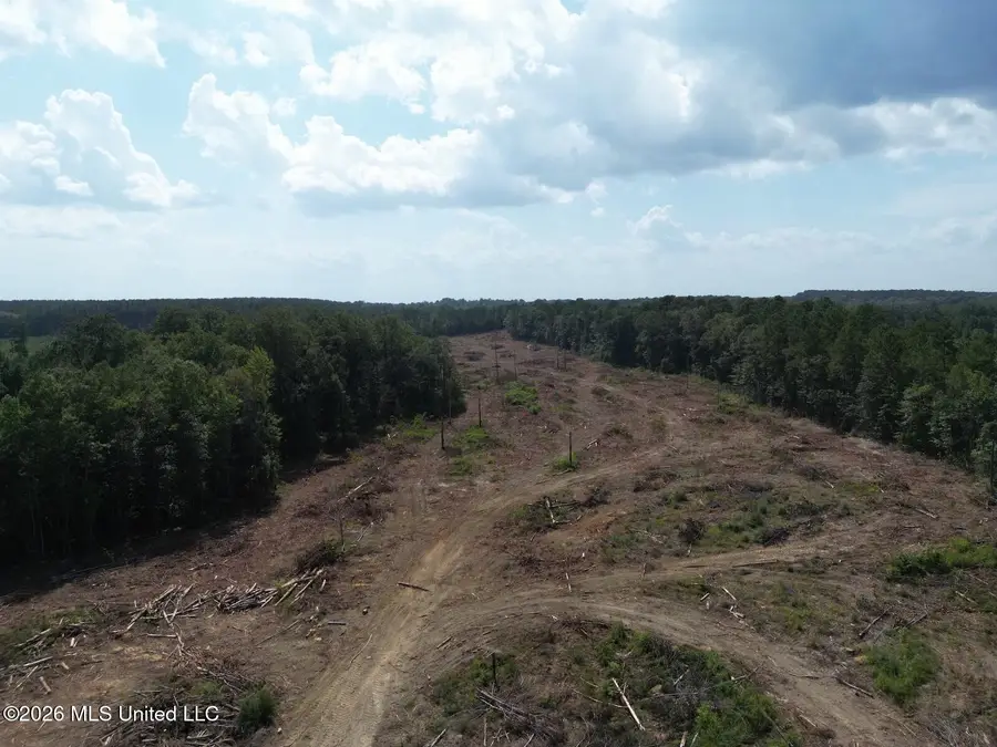 SE Cole Drive, Ruth, MS 39662 - #2