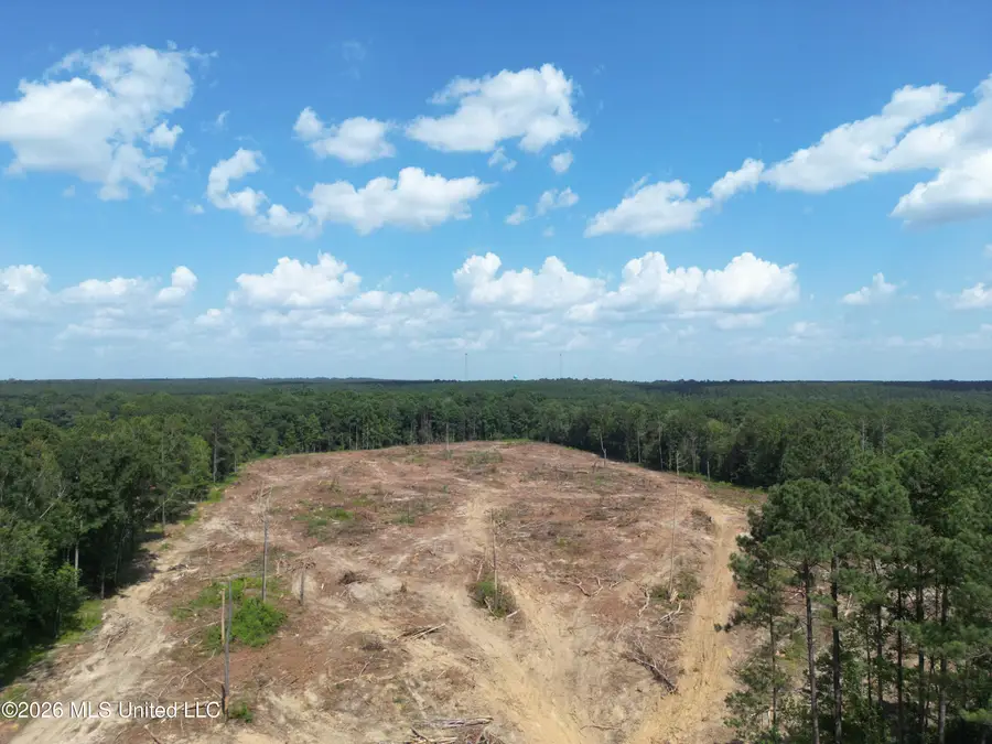 SE Cole Drive, Bogue Chitto, MS 39629 - #2