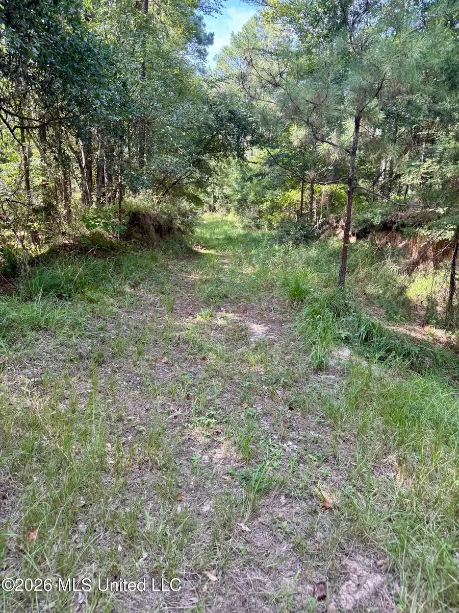 Vine Hollow, Woodville, MS 39669 - #2