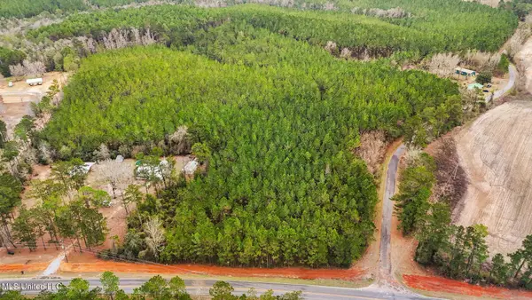 89ac Old Hwy 63n & Fork Rd, Lucedale, MS 39452