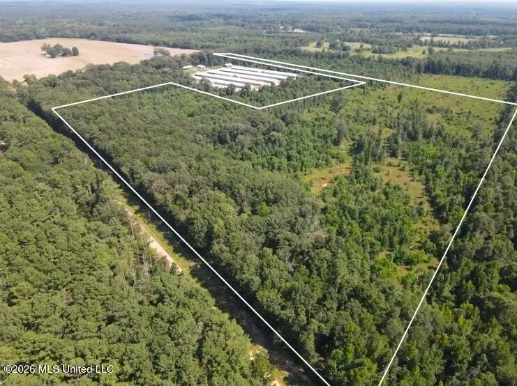 000 Duckworth Road, Sontag, MS 39665 - #1