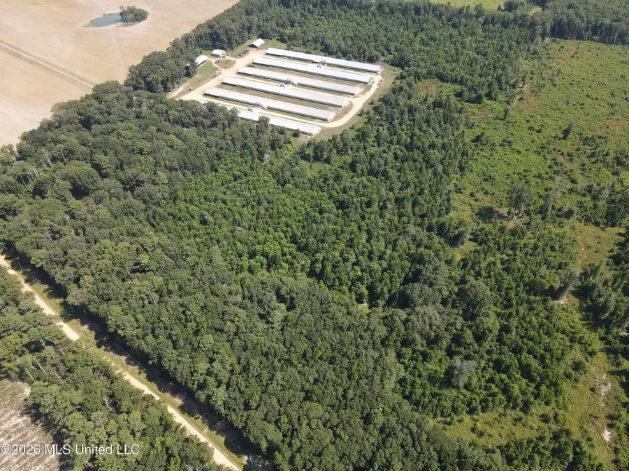 000 Duckworth Road, Sontag, MS 39665 - #2