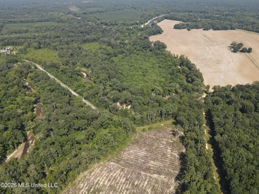 000 Duckworth Road, Sontag, MS 39665 - #3