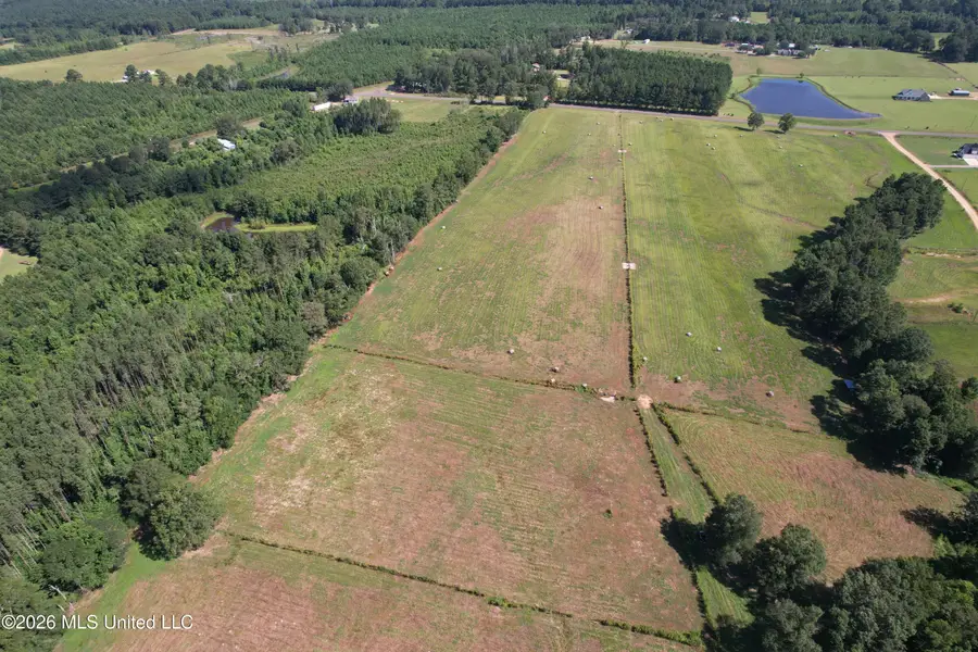 2546 Bogue Chitto Road, Smithdale, MS 39664 - #2