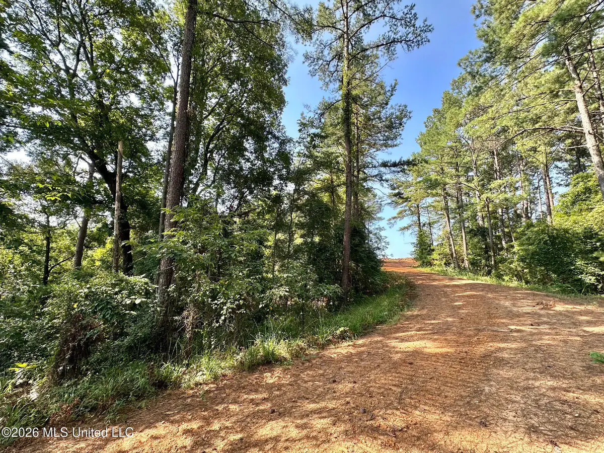 Highway 43, Ethel, MS 39067 - #1