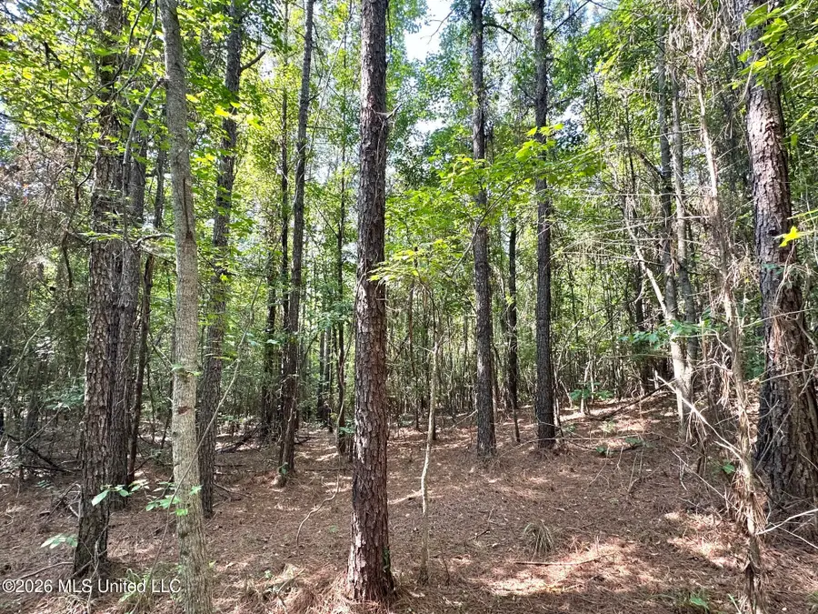 Highway 43, Ethel, MS 39067 - #3