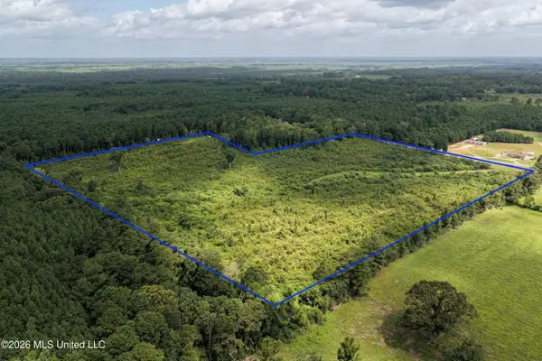 226 Van Holmes Road, Tylertown, MS 39667