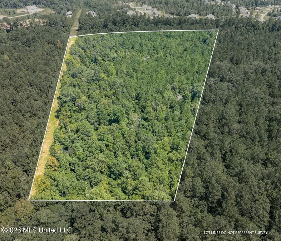 20 Acres Hwy 589, Sumrall, MS 39482 - #2