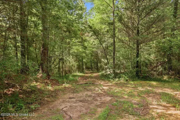 077 Sulphur Springs Road, Canton, MS 39046