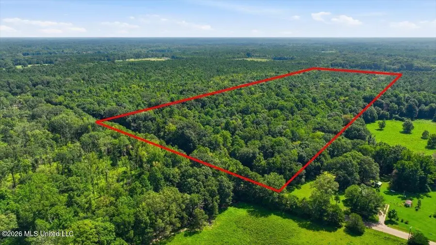 077 Sulphur Springs Road, Canton, MS 39046 - #2