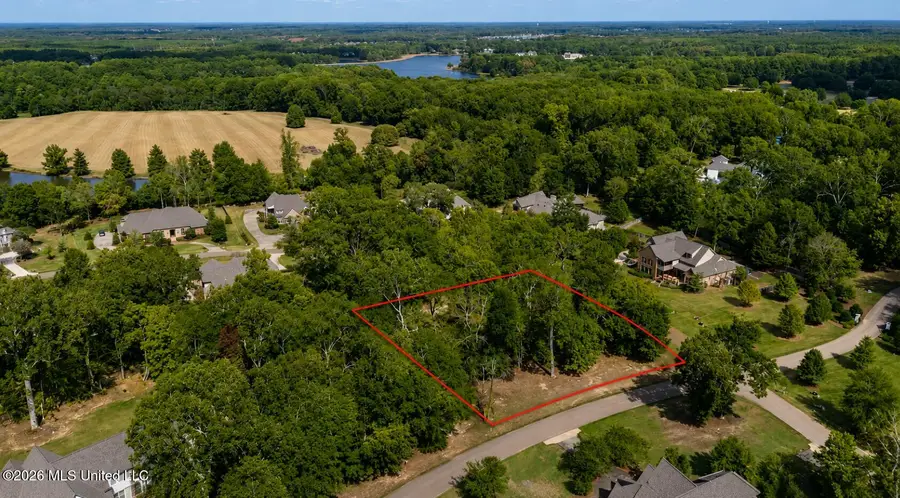 111 Langdon Drive, Madison, MS 39110 - #3