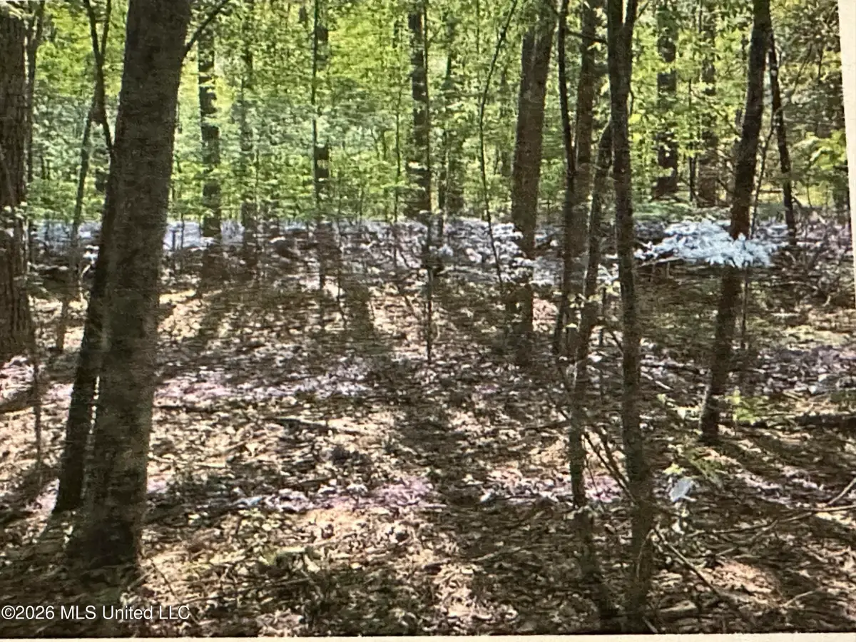 Stigler Rosa Drive, Florence, MS 39073 - #1