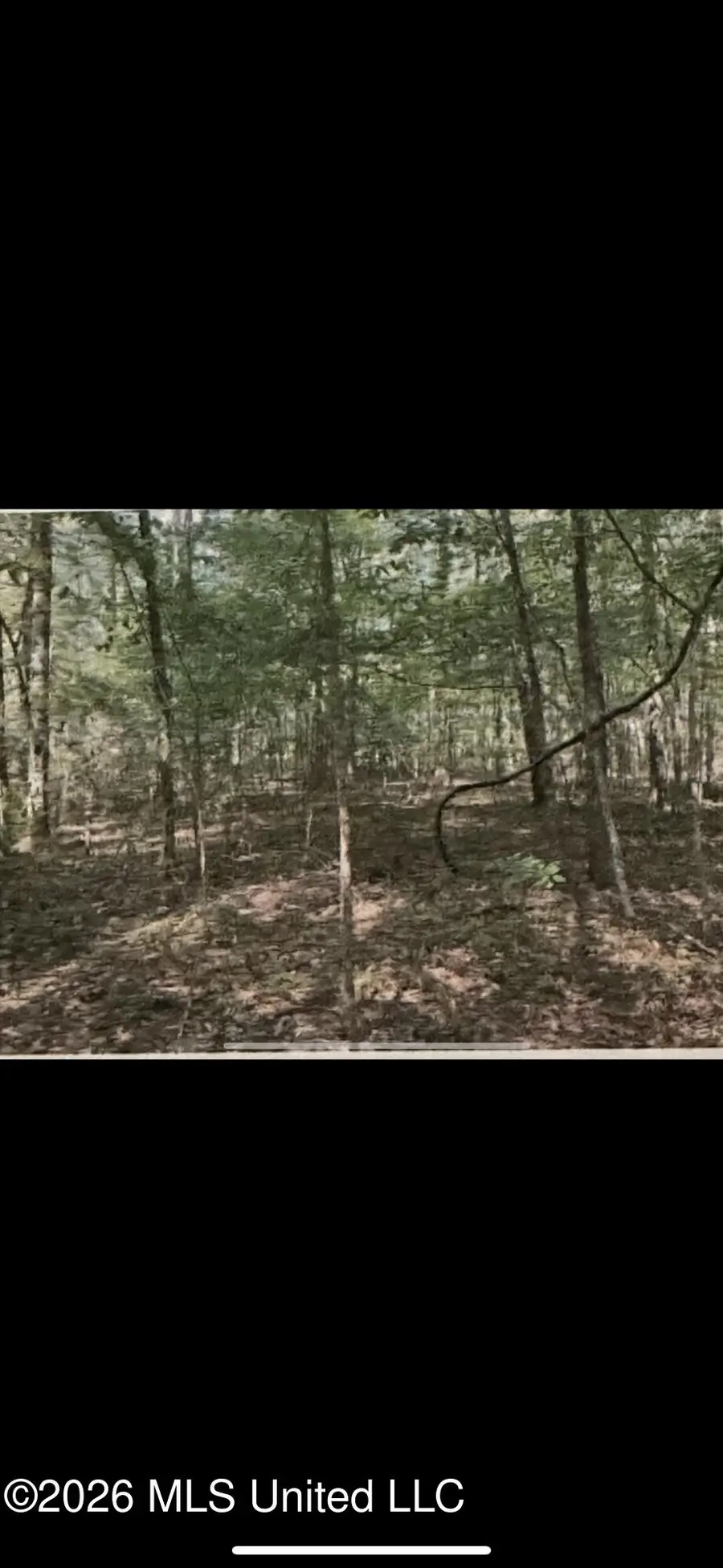 Stigler Rosa Drive, Florence, MS 39073 - #2