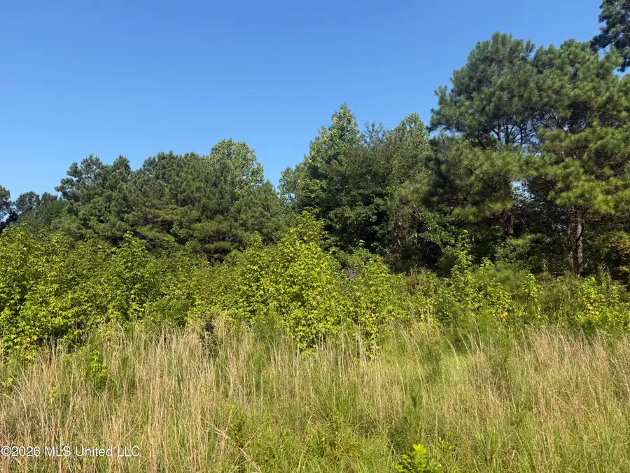 Joe Hall Road, Flora, MS 39071 - #3