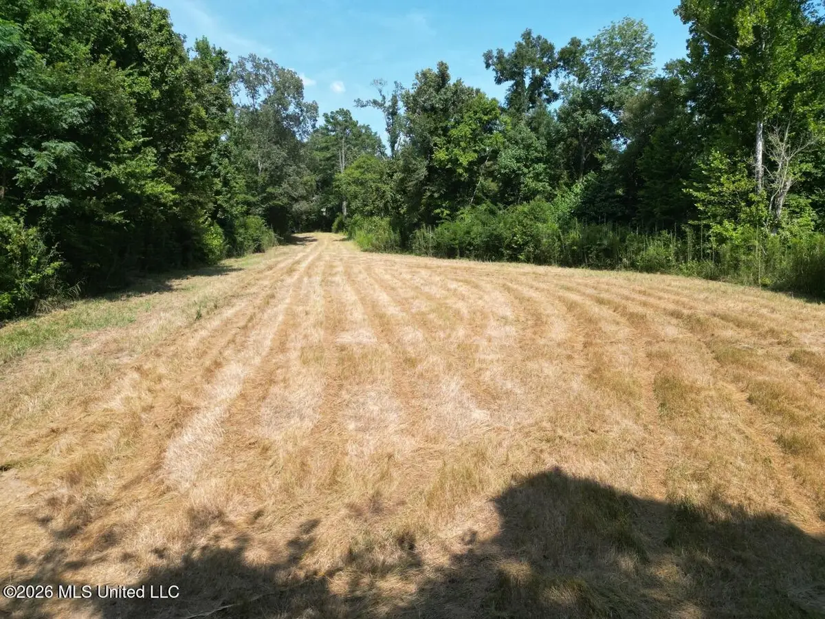 Oil Well Road, Fayette, MS 39069 - #1