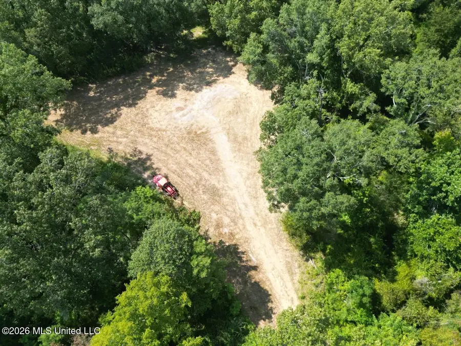 Oil Well Road, Fayette, MS 39069 - #2