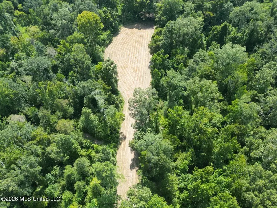 Oil Well Road, Fayette, MS 39069 - #3