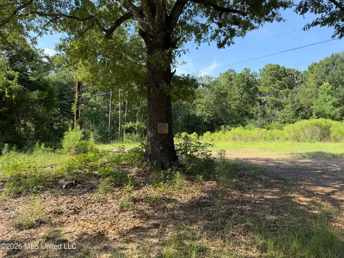 2374 Ms-22, Canton, MS 39046 - #1