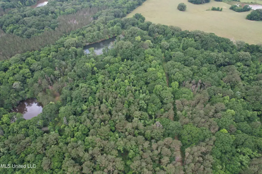 Vaughn Road & Bend Road, Vaughan, MS 39179 - #2