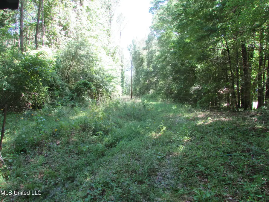 Vaughn Road & Bend Road, Vaughan, MS 39179 - #3