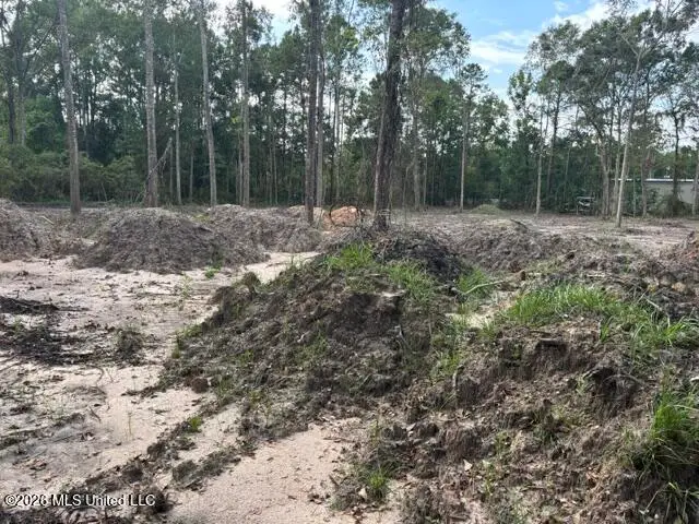 Martin Bluff Road, Gautier, MS 39553 - #2