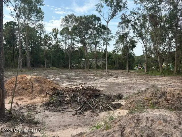 Martin Bluff Road, Gautier, MS 39553 - #3