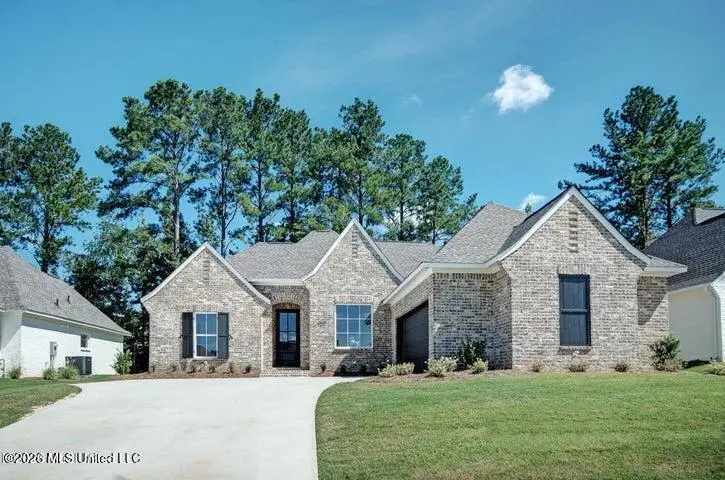 129 Herons Bay Circle, Madison, MS 39110 - #1