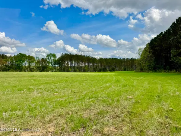 00875 Stump Bridge Road, Canton, MS 39046