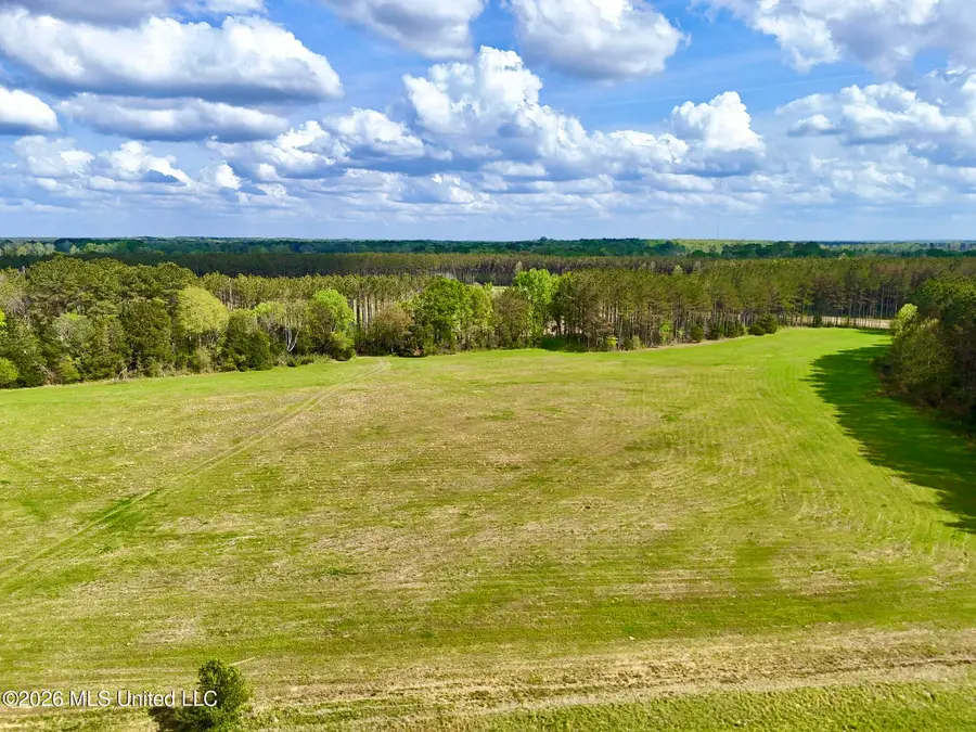 00875 Stump Bridge Road, Canton, MS 39046 - #2