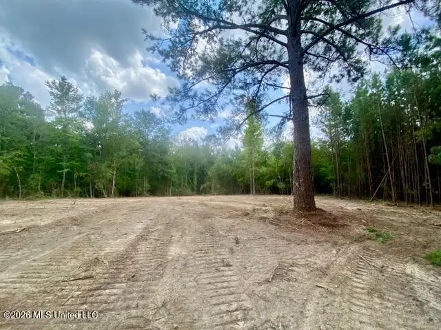 SE Lee Drive, Bogue Chitto, MS 39629 - #2