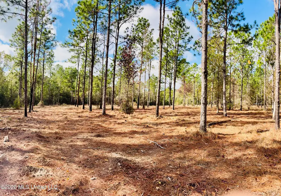 E Beasley Road, Lucedale, MS 39452 - #2