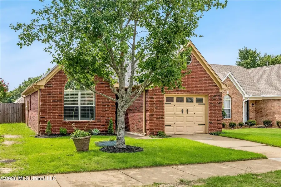 8193 Clubview Drive, Olive Branch, MS 38654 - #2