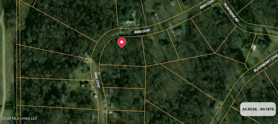 3768 Bird Cove, Hernando, MS 38632 - #2