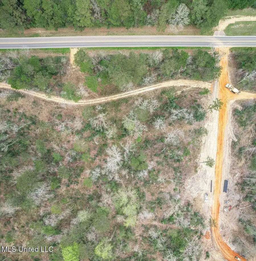 Lot 6 Bridgewater Subdivision, Sumrall, MS 39482 - #2