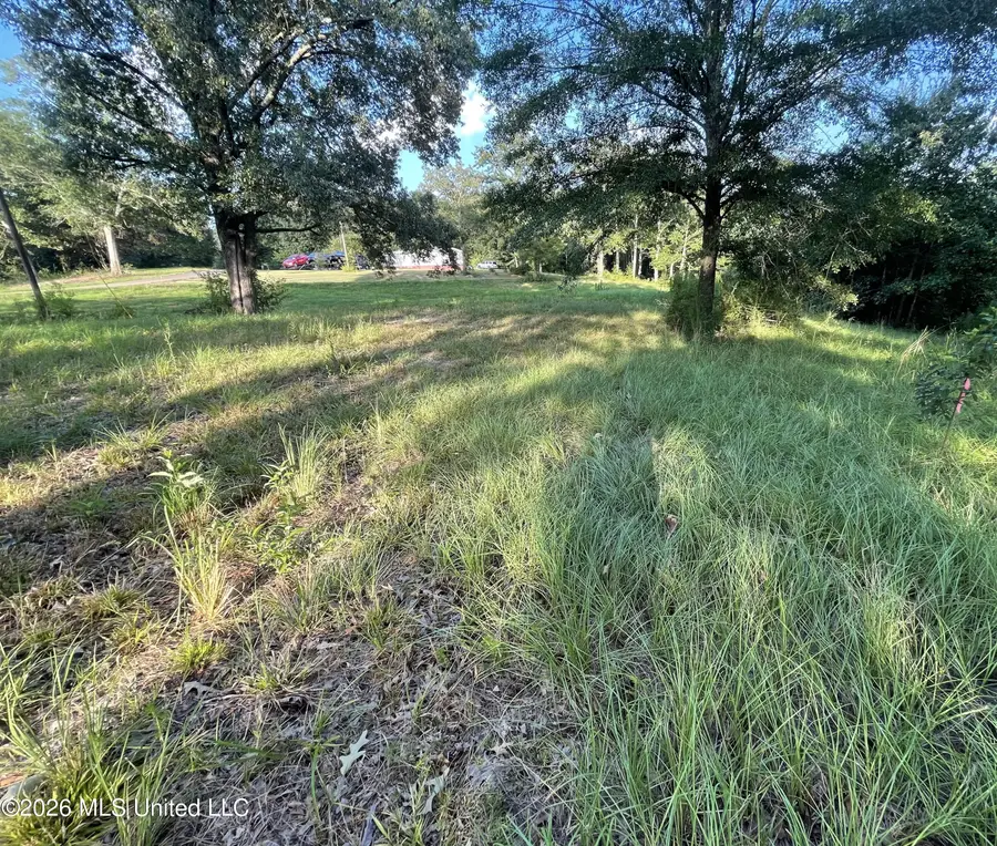 Roberts Lane, Wesson, MS 39191 - #2