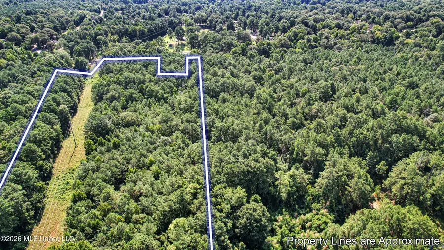 2435 Brignall Road, Brookhaven, MS 39601 - #3