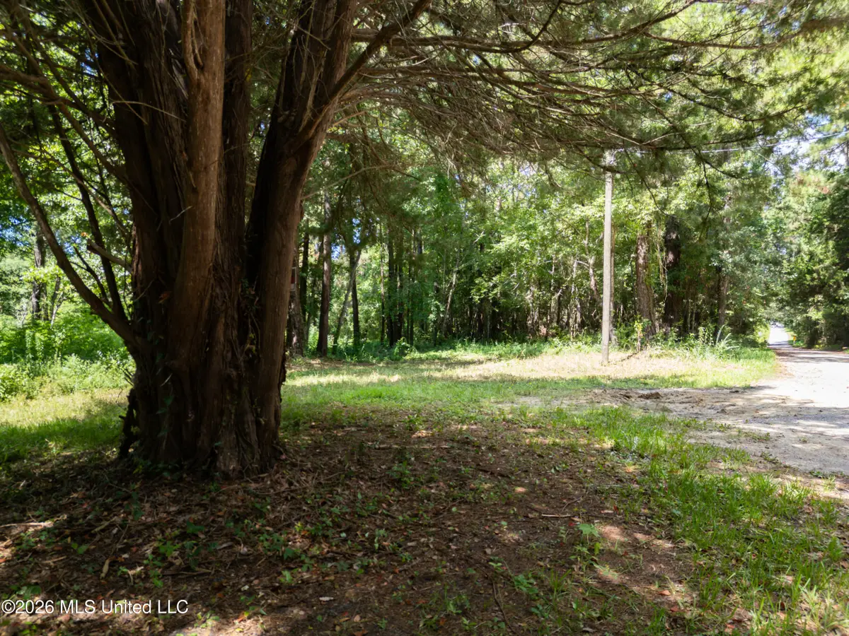 Pabst Road, Ocean Springs, MS 39564 - #1