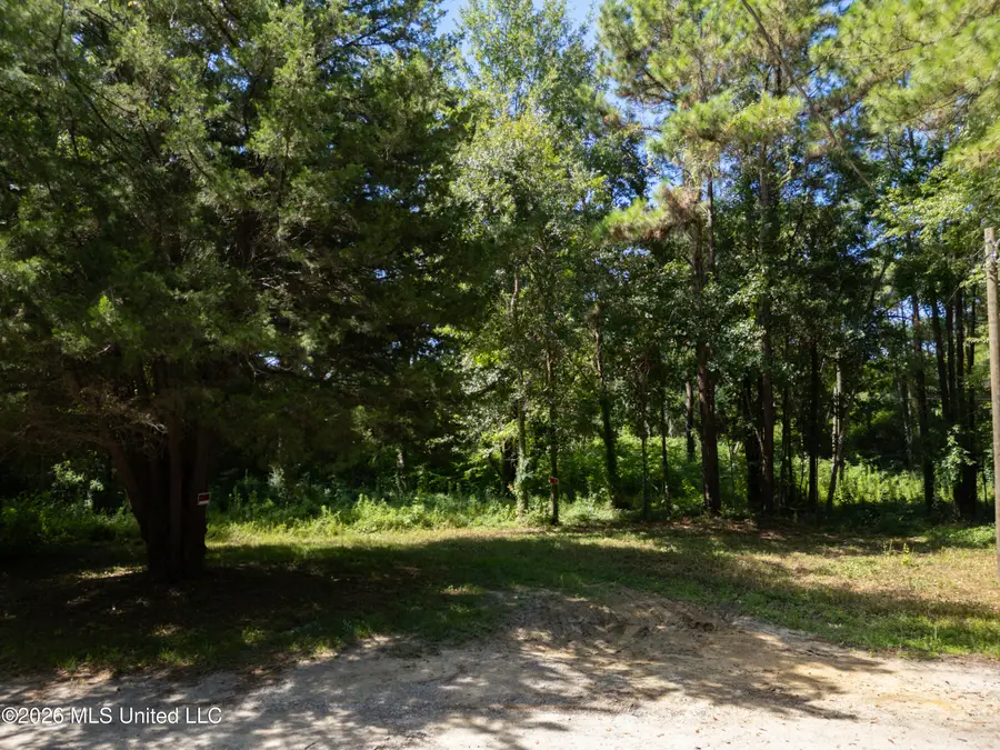 Pabst Road, Ocean Springs, MS 39564 - #2
