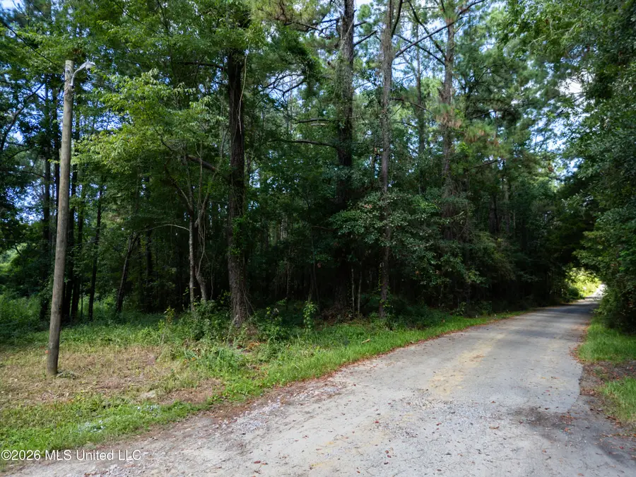 Pabst Road, Ocean Springs, MS 39564 - #3